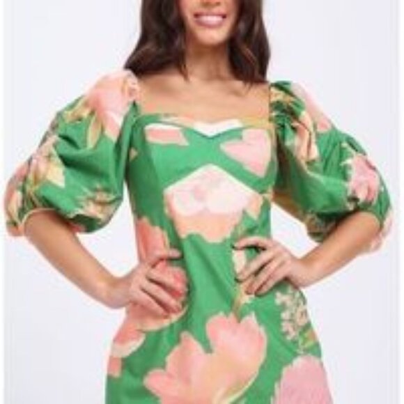 Farm Rio Dress: Vestido Jardim de Inverno NWT - Picture 3 of 14